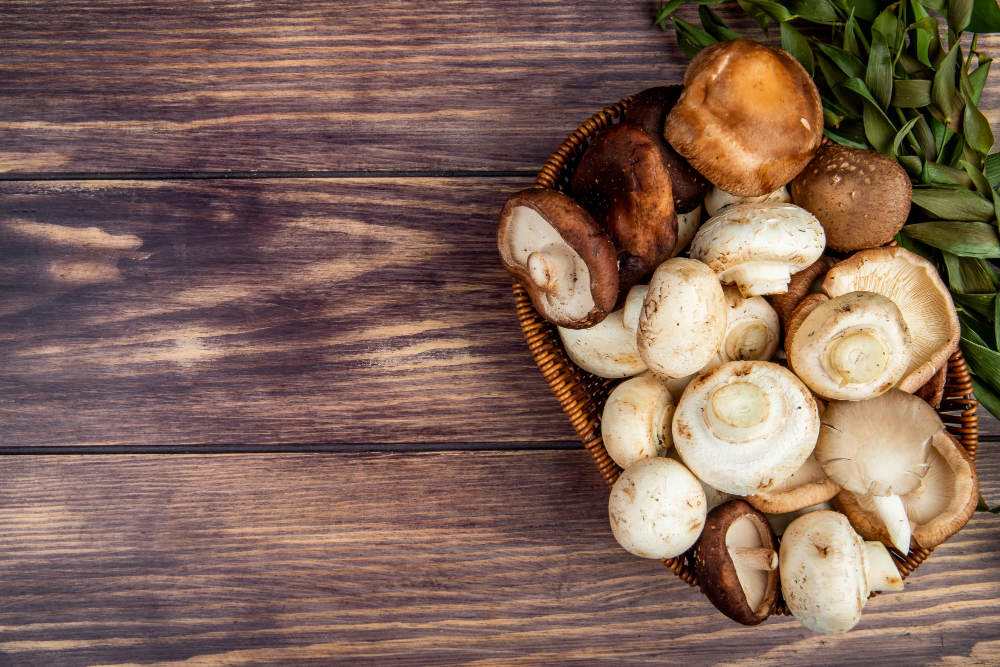 Mushroom Edibles Every Psychedelic Lover Should Experience -