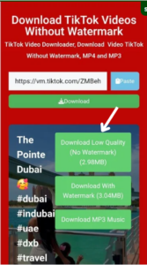 Language Switcher