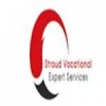 Stroud Vocational Expert Services LLC Profile Picture
