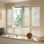 shutters Profile Picture