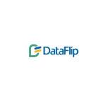 dataflip Profile Picture