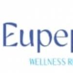 Eupepsia wellness Profile Picture