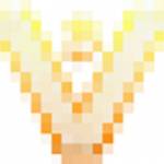 Vishu Mining Profile Picture