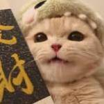 home has Profile Picture