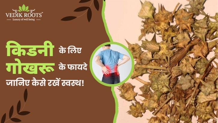 किडनी के लिए गोखरू के फायदे: जानिए कैसे रखें स्वस्थ! – Vedikrtoots