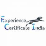 Experience Certificate India Profile Picture