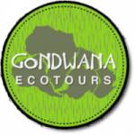 Rwanda gorilla trekking Profile Picture