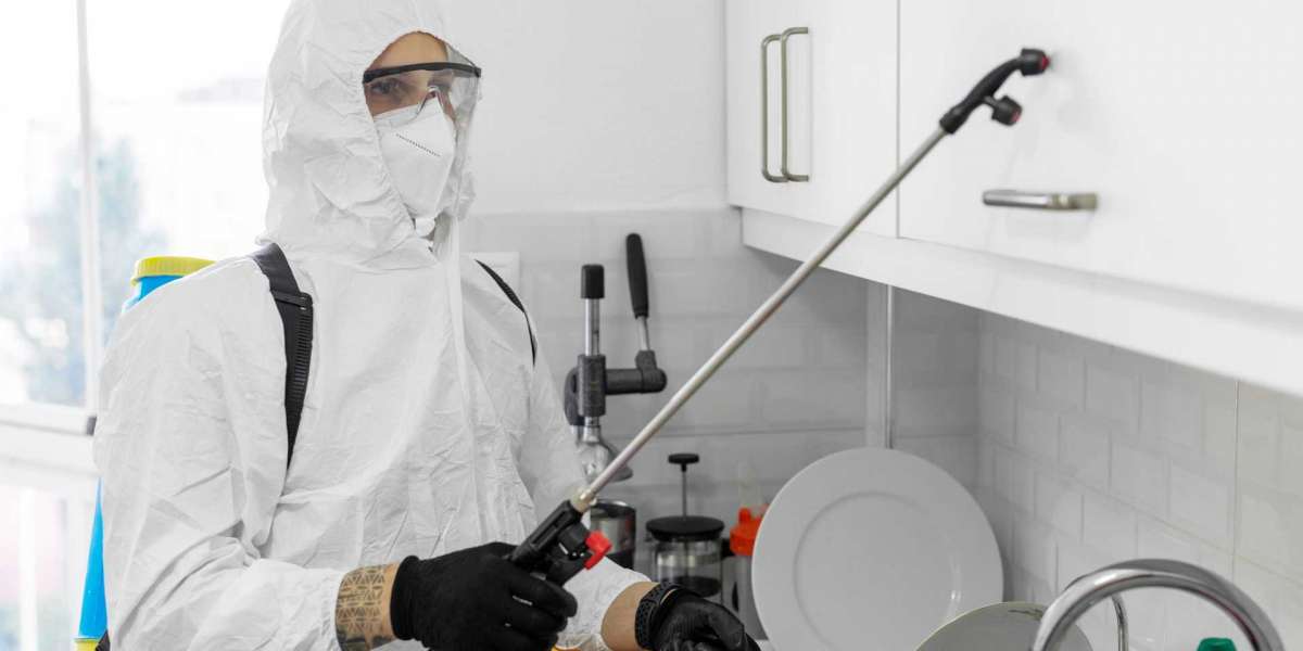 How Brooklyn's Pest Pros Stay a Step Ahead