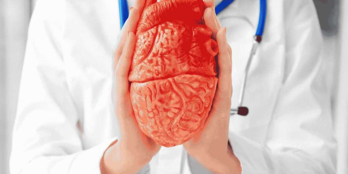 Heart Attack Prevention: How Regular Tests Can Help