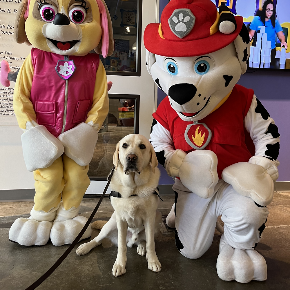 Why Are Funny Mascots the Life of Every Party?