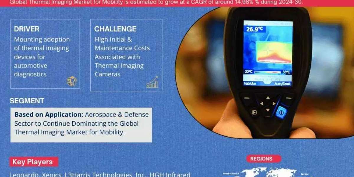 Thermal Imaging Market for Mobility Industry Market Size, Growth, Share and Competitive Landscape - 2030