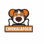 chienalafolie Profile Picture