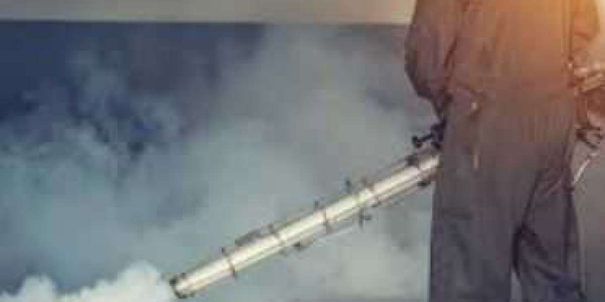 Article Picture