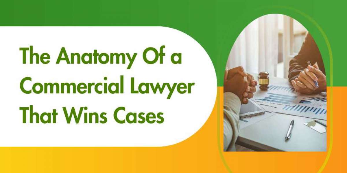 The Anatomy Of a Commercial Lawyer That Wins Cases
