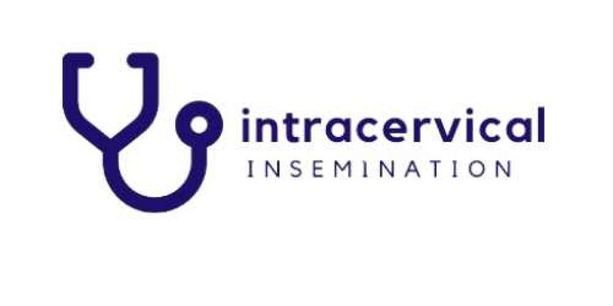 Top Insemination Kit for Easy and Effective At-Home Use