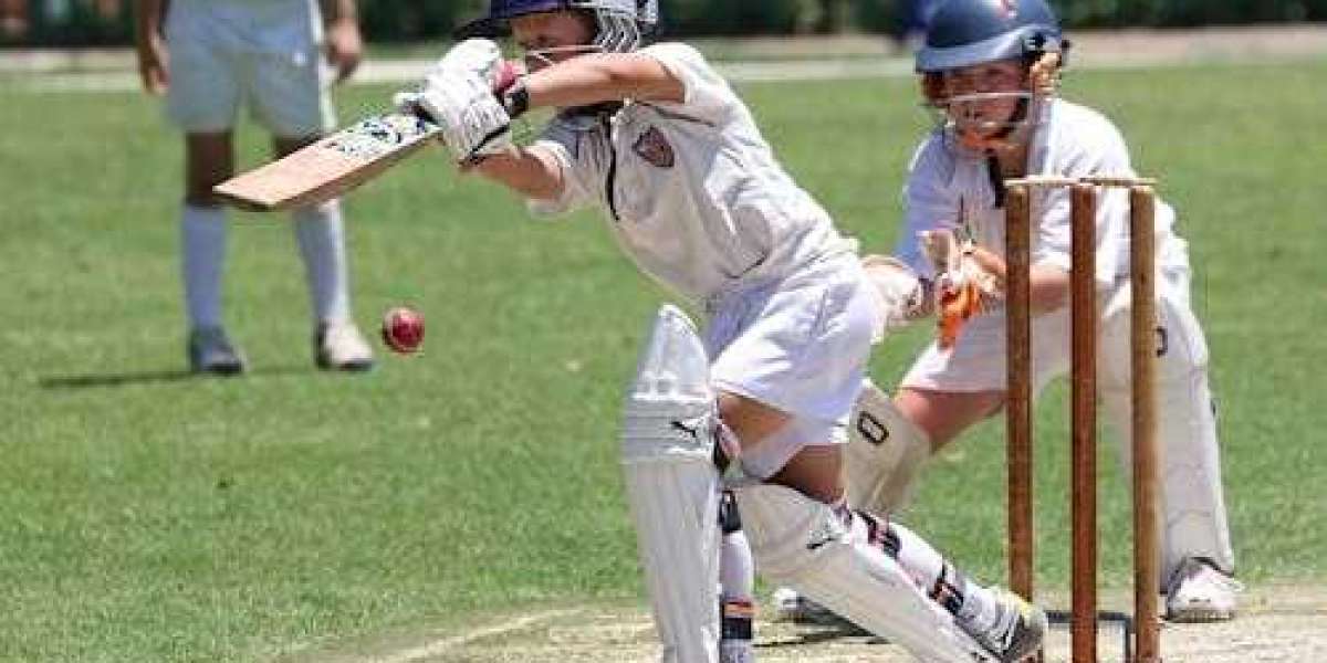 Unlock Your Cricket Passion: How Diamond Exchange 9 Login Enhances Fan Experience