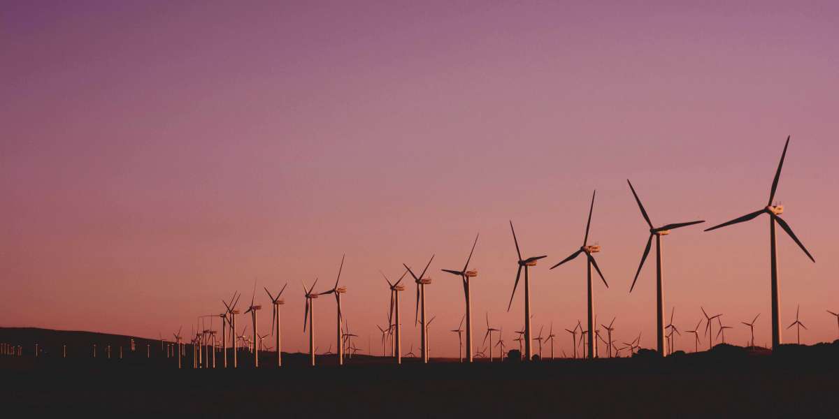 The Engineer Role in Renewable Energy Revolution