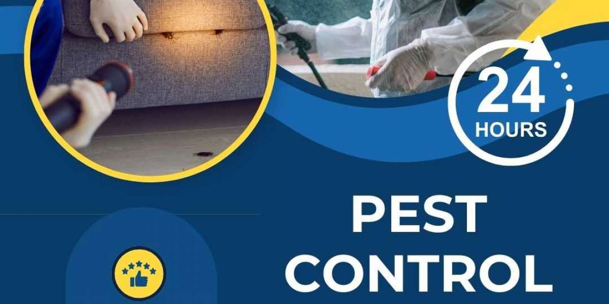 Pest Control San Antonio | Expert Bed Bug, Wasp & Rodent Removal