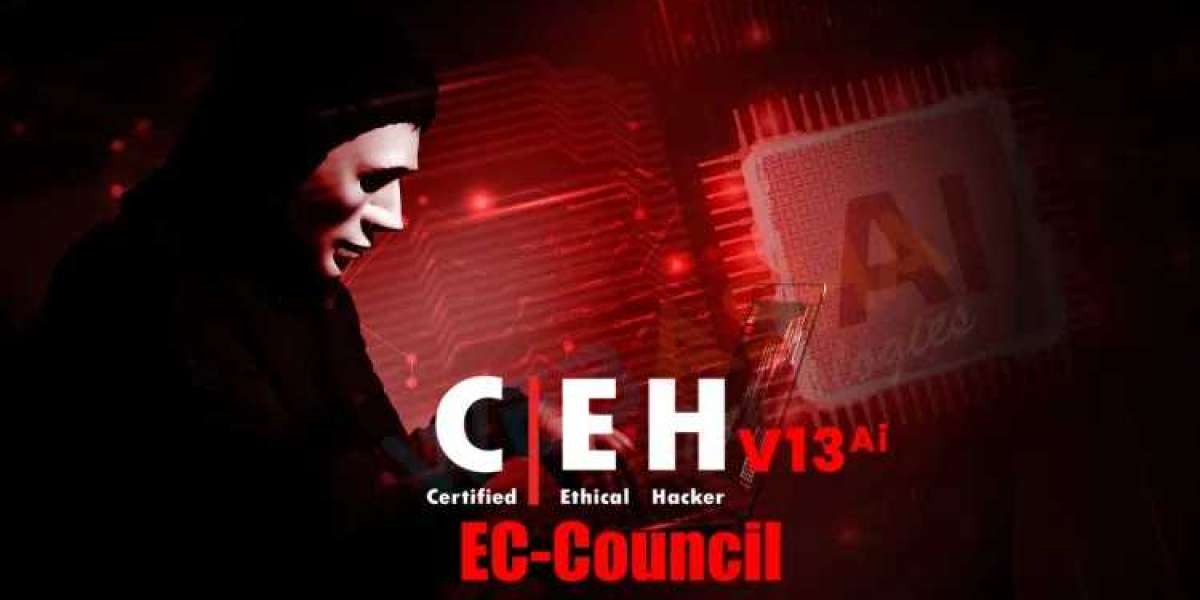 Certified Ethical Hacker Course in Pune: A Complete Guide for Beginners