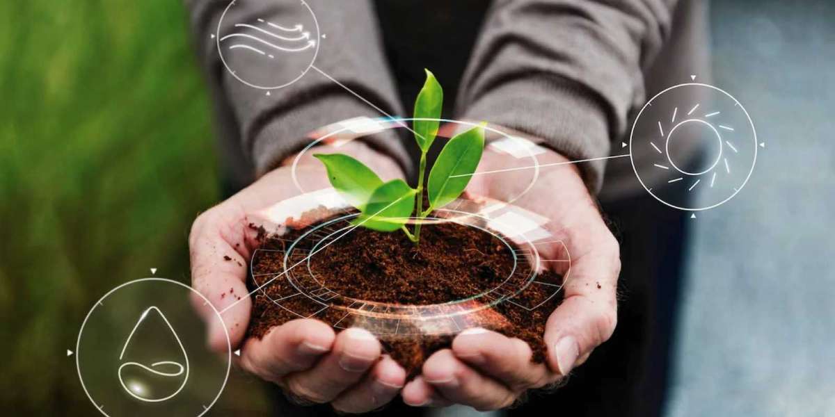Carbon Neutral Practices Redefining Corporate Operations