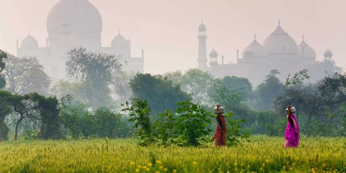 Golden Triangle in Style: The Ultimate Gateway to Luxury Tours of India