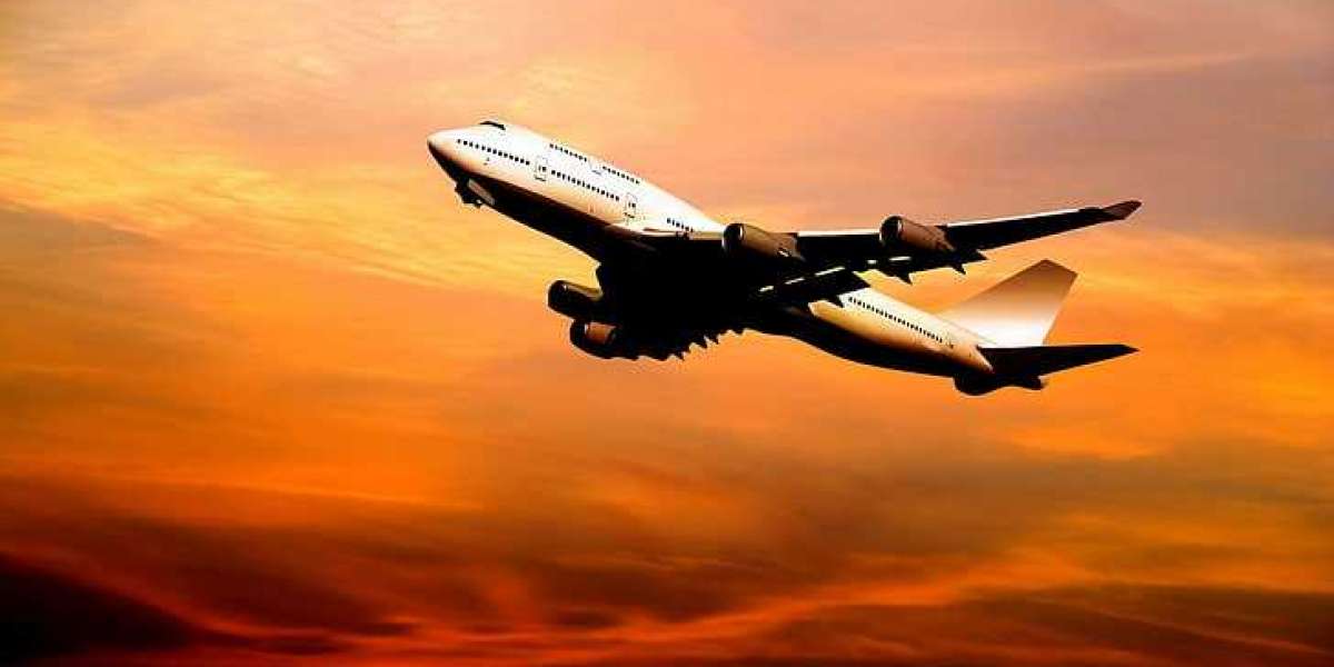 United Airlines PHL Terminal +1-888-839-0502