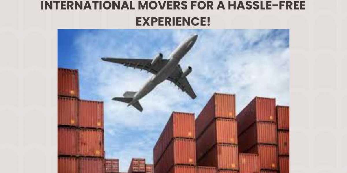 Moving Abroad? Discover the Best International Movers for a Hassle-Free Experience!