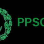 ronihoh901 Profile Picture