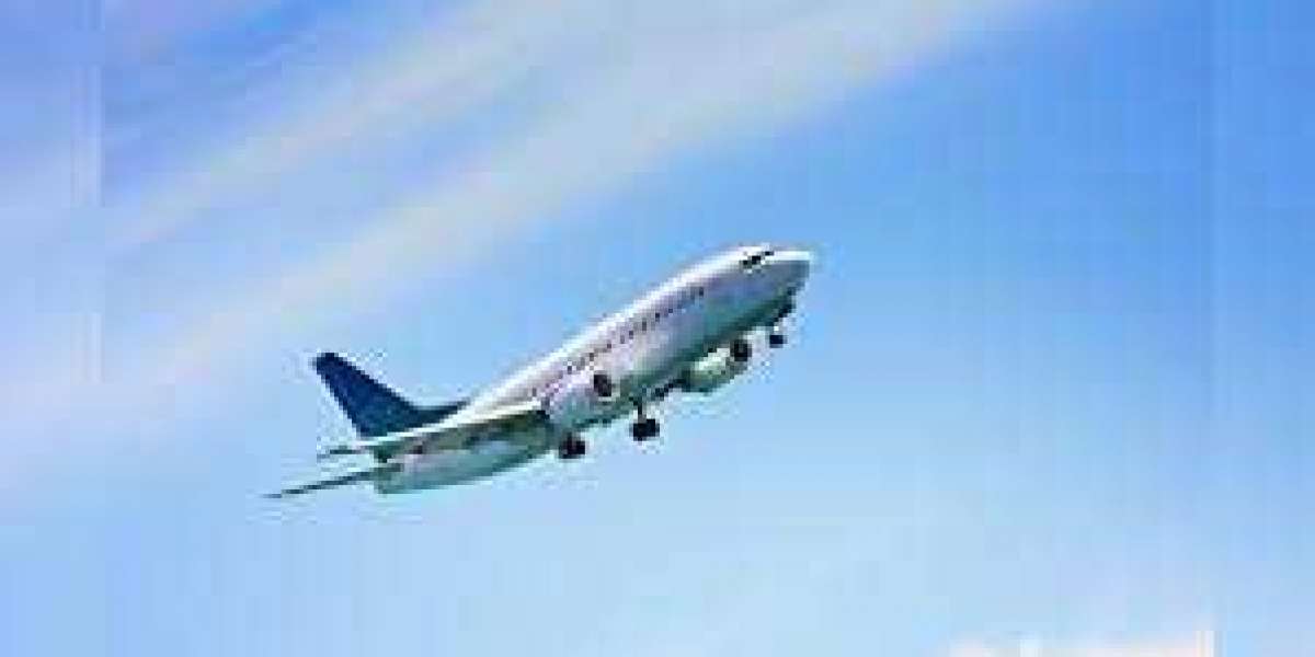 Types of Help You Can Get by Dialing Singapore Airlines MCO Phone Number