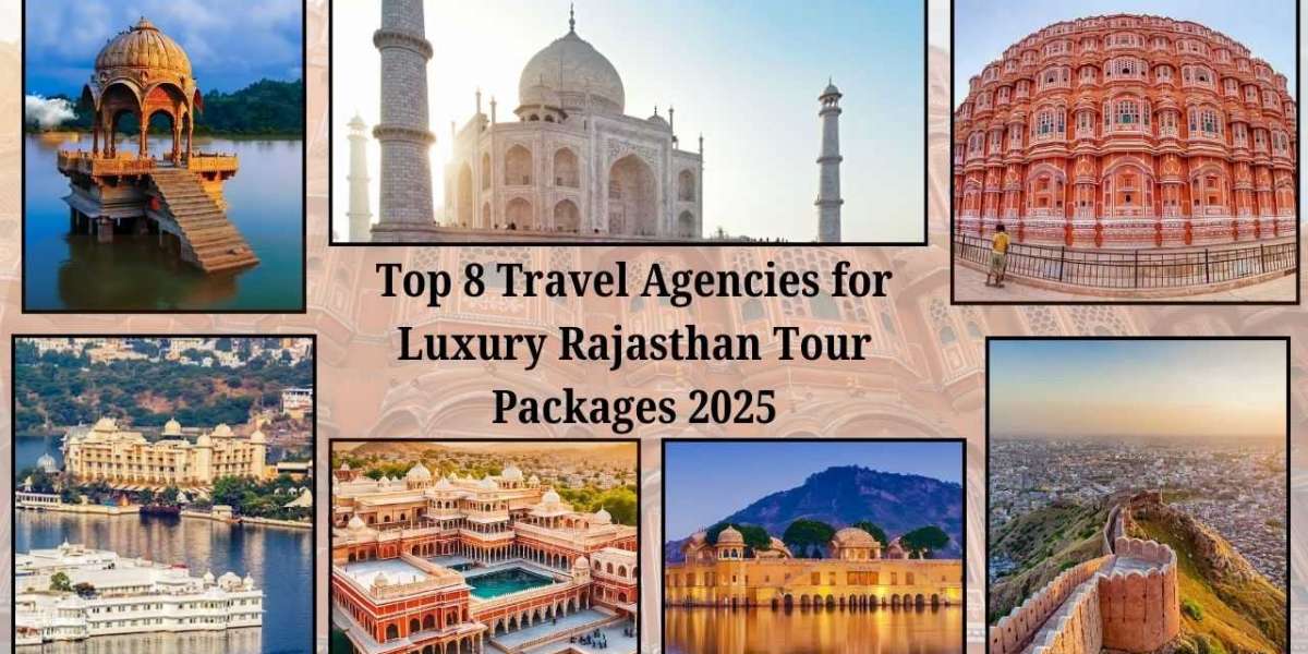 Top 8 Travel Agencies for Luxury Rajasthan Tour Packages 2025
