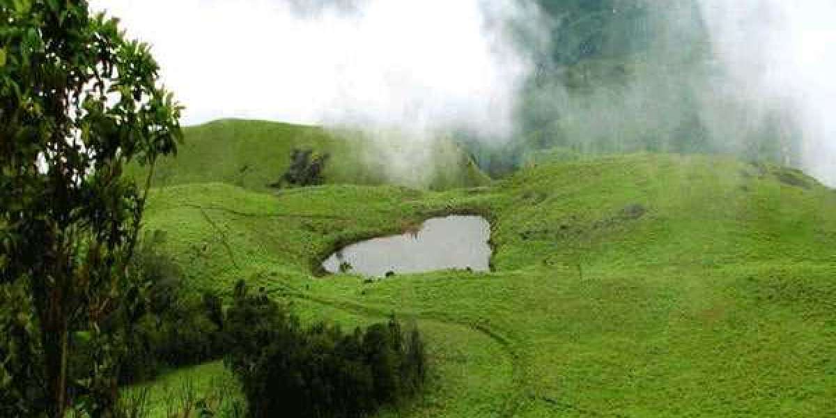 Bangalore to Wayanad Cab