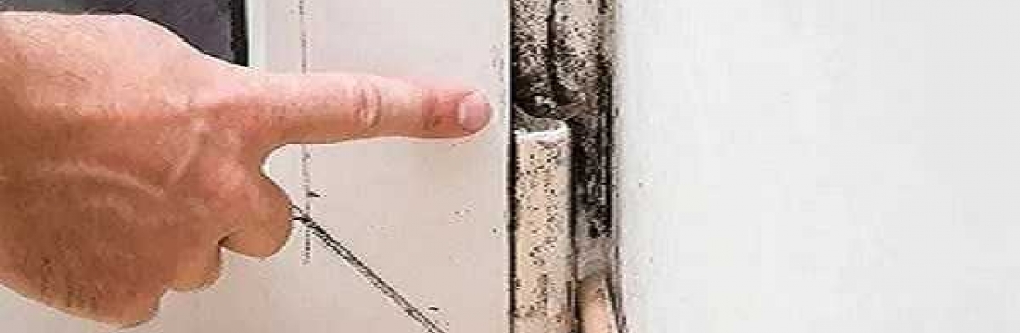 Mould Doctors Cover Image