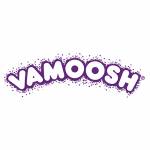 Vamoosh Cleans Profile Picture