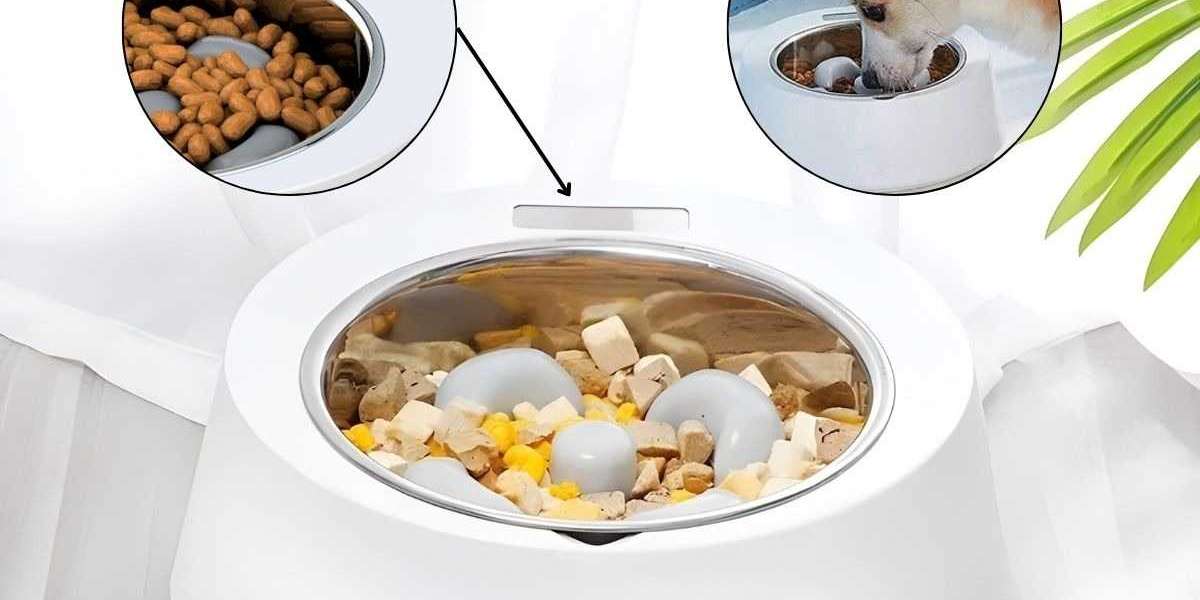 Revolutionize Mealtime with the Smart Weighing Dog Bowl