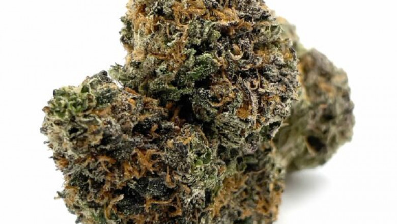 The Rise of Blackout Bobby: Exploring One of the Most Talked-About New Strains | Share Research