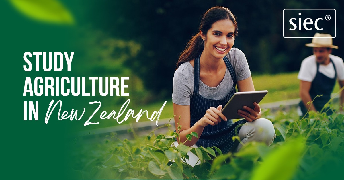 Study Agriculture in New Zealand | Study in New Zealand
