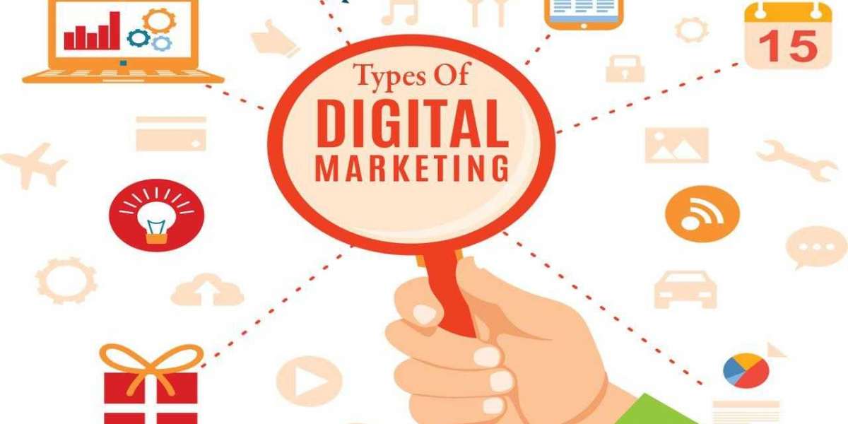 Struggling to Rank? Discover What Freelance SEO Experts Can Do for You