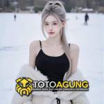 TOTOAGUNG Profile Picture