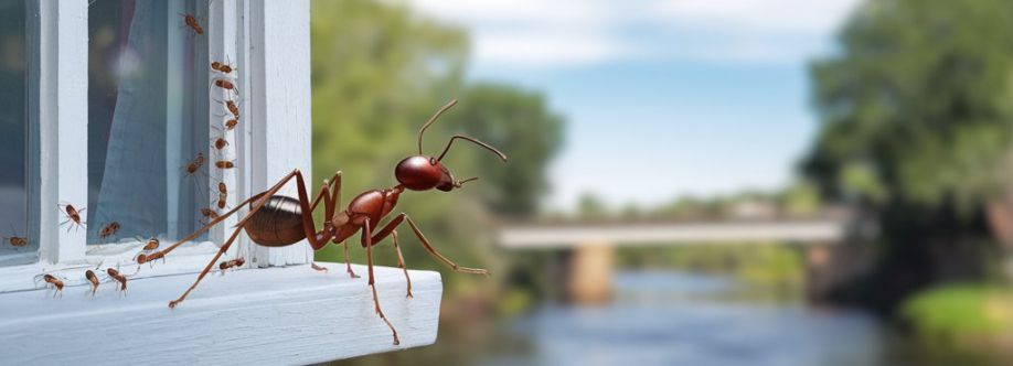 Century Pest Lockhart Cover Image