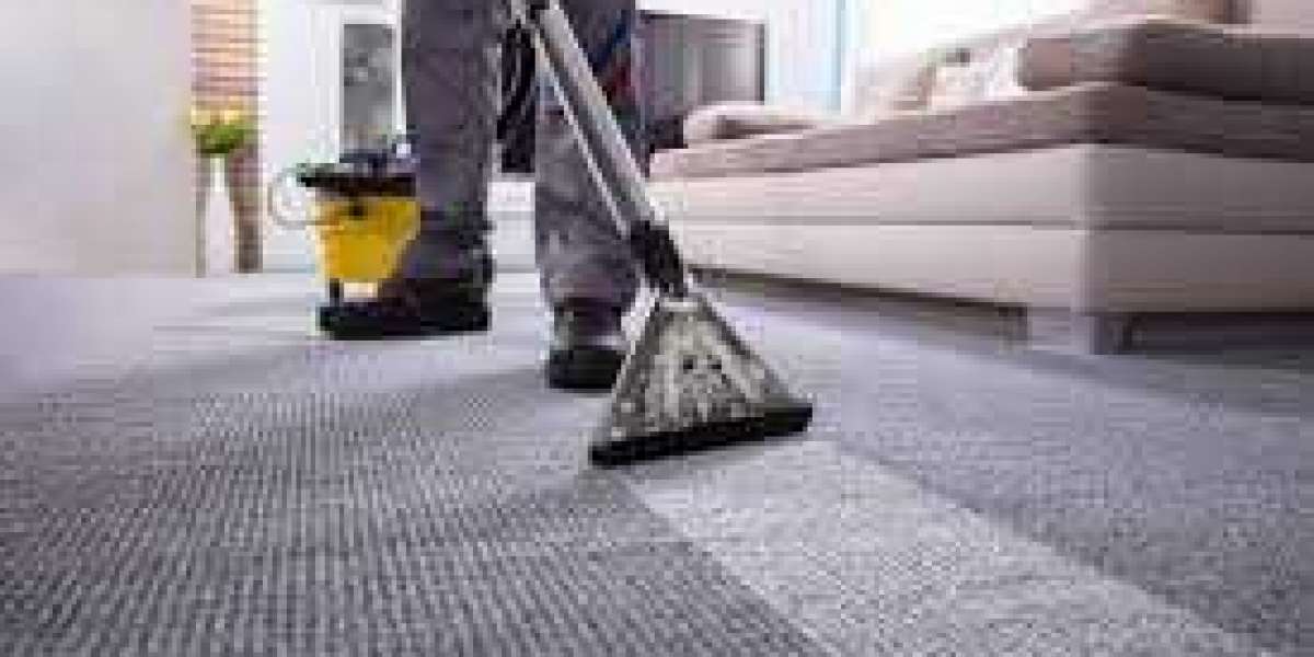 Carpet Cleaning’s Role in Improving Indoor Air and Comfort
