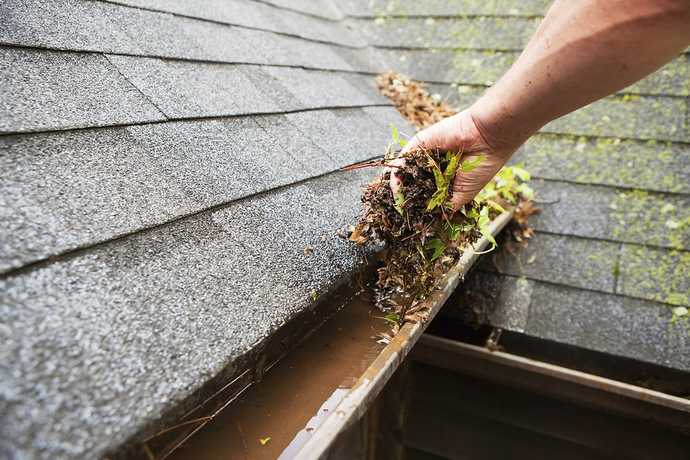 What happens if you don't maintain your homes gutters and downspouts?