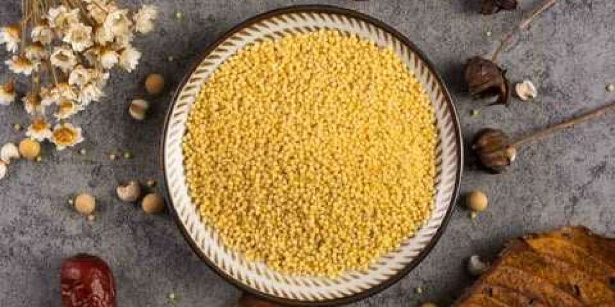 Millet Processing Unit Cost 2025