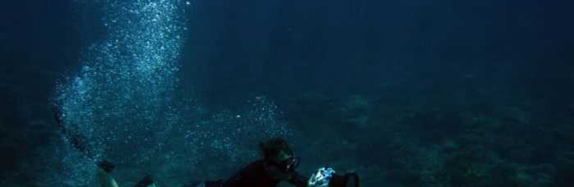Petro Divers Cover Image