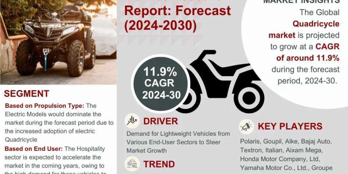Quadricycle Market Breakdown By Size, Share, Growth, Trends, and Industry Analysis