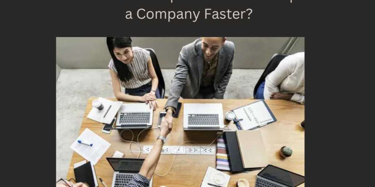 How Can Business Setup Consultants Help You Start a Company Faster?