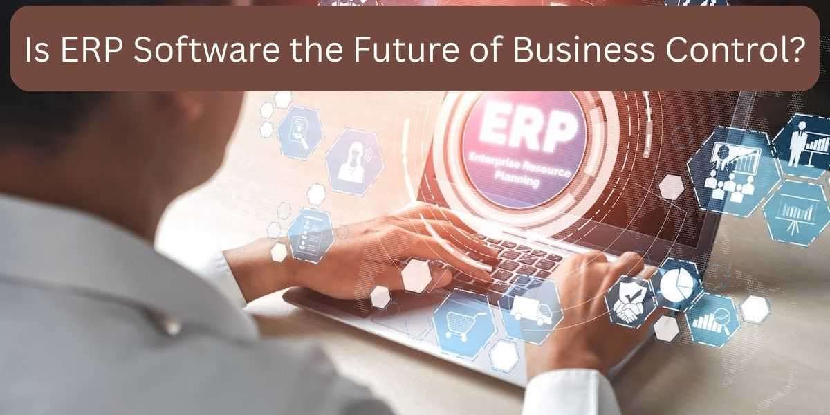 Is ERP Software the Future of Business Control?