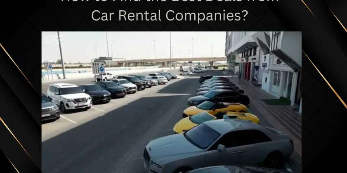 How to Find the Best Deals from Car Rental Companies?