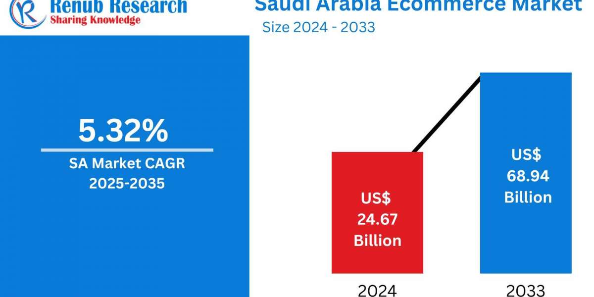 Saudi Arabia E-commerce Market Insights 2025-2033| Growth & Opportunity Analysis