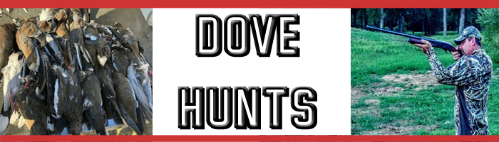 Dove Hunt Texas: Experience the best dove hunts in Texas
