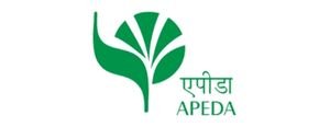 Best Spice Exporters in India | SpiceCentra – Premium Spices